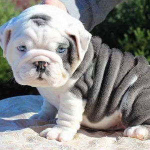 Meet your Posher, Judy